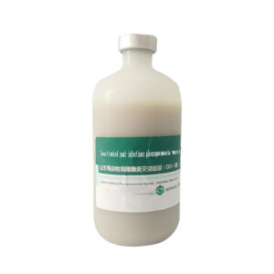 Veterinary sheep infectious pleuropneumonia inactivated vaccine 100ml